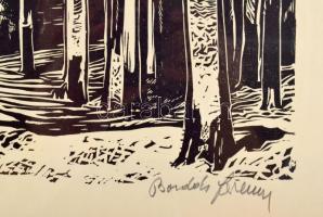 Bordás Ferenc (1911-1982): Vízparti táj. Linómetszet, papír. Jelzett. 32x44 cm. Üvegezett fakeretben