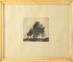 Barcsay Jenő (1900-1988): Fák. Rézkarc, papír, jelzett. Üvegezett fakeretben. Lapszéli apró foltokkal. 12,5x15 cm