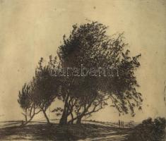 Barcsay Jenő (1900-1988): Fák. Rézkarc, papír, jelzett. Üvegezett fakeretben. Lapszéli apró foltokka...