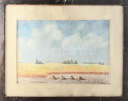 Szalay Károly (1863-?): Napos táj. Olaj, karton, jelezve jobbra lent. Üvegezett, kissé kopott fakeretben, 34x50 cm