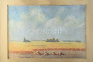 Szalay Károly (1863-?): Napos táj. Olaj, karton, jelezve jobbra lent. Üvegezett, kissé kopott fakere...