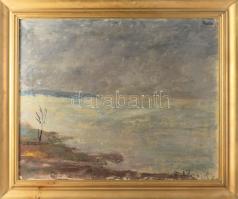 Pártos István (1907-1962): Balaton. Olaj, vászon. Jelzett. Dekoratív fakeretben, 50x62 cm