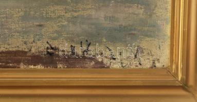 Pártos István (1907-1962): Balaton. Olaj, vászon. Jelzett. Dekoratív fakeretben, 50x62 cm