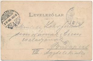 1903 Temesvár, Timisoara; Erzsébetváros, Siketnémák Intézete / Deaf and mute institute (fl)