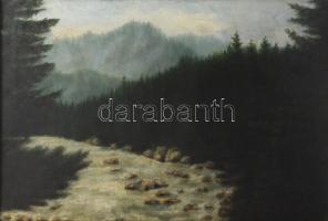 Nagypolányi Pogány Antal (-): Hegyvidék (Tátra?), 1935. Olaj, vászon. Jelzett. Dekoratív, kissé sérü...