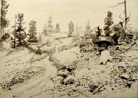 Orsós Ferenc (1879-1962): 5 db táj rajz. Akvarell, tus, ceruza, papír, egyik jelzett. 37×50 cm körül...