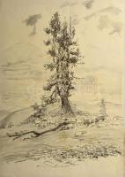 Orsós Ferenc (1879-1962): 5 db táj rajz. Akvarell, tus, ceruza, papír, egyik jelzett. 37×50 cm körül...