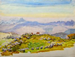 Orsós Ferenc (1879-1962): 5 db táj rajz. Akvarell, tus, ceruza, papír, egyik jelzett. 37×50 cm körül...