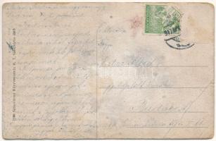 1917 Szászváros, Broos, Orastie; Szászvárosi könyvnyomda rt. könyv és papírkereskedése és saját kiad...