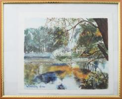 Witkovszky Erika (1937-): Vízparti táj. Akvarell, papír, jelezve balra lent. Dekoratív, üvegezett fakeretben. 18,5x21 cm.