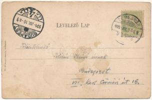 1905 Temesvár, Timisoara; M. kir. állami főgimnázium. Divald Károly kiadása / high school. Art Nouve...