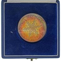 1977. "25 éves a Lehel hűtőgépgyár / 1952-1977 Jászberény" Ag emlékérem, eredeti tokban (4...