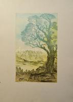 Tuka László (1924-2007): Magányos fa. Színes rézkarc, papír, jelzett, számozott (10/15). Lap széle kissé foltos. 39x23 cm