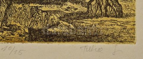 Tuka László (1924-2007): Magányos fa. Színes rézkarc, papír, jelzett, számozott (10/15). Lap széle k...