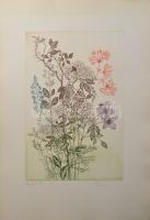 Tuka László (1924-2007): Virágok II/84. Színes rézkarc, papír, jelzett, számozott (1/19). Lap széle kissé foltos és kissé sérült. 40,5x27,5 cm