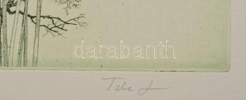 Tuka László (1924-2007): Virágok II/84. Színes rézkarc, papír, jelzett, számozott (1/19). Lap széle ...