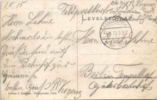 1915 Beregszász, Beregovo, Berehove; A város látképe a szőlőhegységgel. Farkas J. kiadása / street, ...