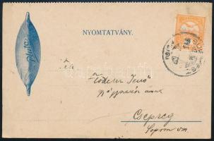 1915 Budakeszi, a Pluto-laboratórium gyógyszerészeti cikkeket készítő vállalat ismertetője a Phenolp...