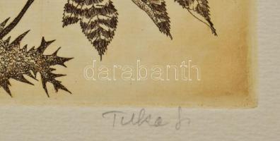 Tuka László (1924-2007): Bogáncs. Színes rézkarc, papír, jelzett, számozott (12/15). 39x25,5 cm