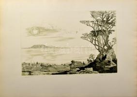 Tuka László (1924-2007): Balatonpart. Rézmetszet, papír, jelzett, számozott (2/3). 27x41 cm