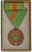 1970 k. "Vám- és Pénzügyőrségi Szolgálati Érem bronz fokozat" zománcozott fém kitüntetés mellszalagon, kifakult szalagsávval, eredeti tokban T:AU