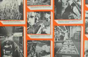 cca 1975-80 Megvalósul agrárpolitikánk, Képes Híradó. Szocialista propaganda plakát, papír, Révai Ny...