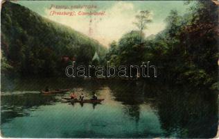 1910 Pozsony, Pressburg, Bratislava; Vaskutacska / Eisenbrünnel / lake (kopott sarkak / worn corners)