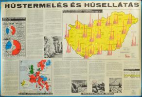 1970 Hústermelés és húsellátás, szocialista propaganda plakát Magyarország térképpel, papír, Kartográfiai Vállalat, kiadja: Kossuth Könyvkiadó, feltekerve, apró lapszéli sérüléssel, 67×98 cm