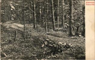 Alsóhámor, Dolné Hámre (Hodrushámor, Hodrusa-Hámre); Erdő részlet Hodrus felé. Joerges 1908 / forest (EK)