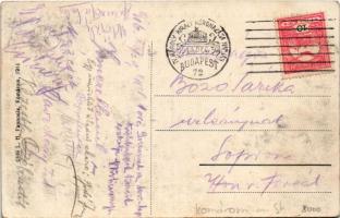 1916 Komárom, Komárno; Nádor utca, Szentháromság szobor, üzletek. L. H. Pannonia kiadása / street vi...