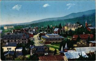 Tátrafüred, Ótátrafüred, Altschmecks, Stary Smokovec (Magas-Tátra, Vysoké Tatry); látkép / general view (fl)