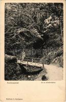 Kovácspatak, Kovacov; Út az Ámor-forráshoz. Wallfisch S. kiadása / road to the mineral spring (EK)