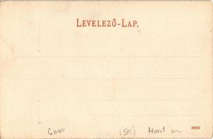 Kovácspatak, Kovacov; Út az Ámor-forráshoz. Wallfisch S. kiadása / road to the mineral spring (EK)