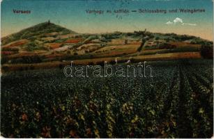 1917 Versec, Werschetz, Vrsac; Várhegy és szőlők. Gábor Lajos kiadása / Schlossberg und Weingärten / castle hill, vineyard (EK)