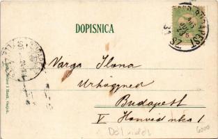 1905 Eszék, Essegg, Osijek; Kolodvorska cesta. Selzer i Rank / Bahnhofstrasse / Vasút utca / street ...