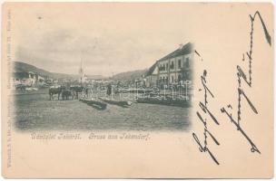 1900 Teke, Tekendorf, Teaca; Fő tér, piac. Weinrich S. fényképész / square, market (EM)