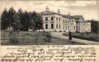 1905 Seregélyes, Gróf Hadik kastély park részlettel. Deckner Ferenc kiadása (EK)