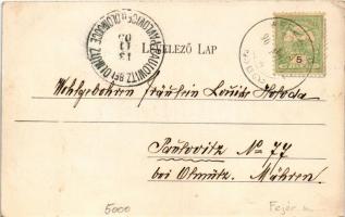 1905 Seregélyes, Gróf Hadik kastély park részlettel. Deckner Ferenc kiadása (EK)