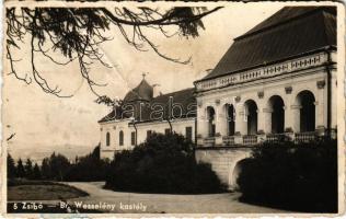 Zsibó, Jibou; Báró Wesselényi kastélya. Végh Dávid kiadása / castle (fa)