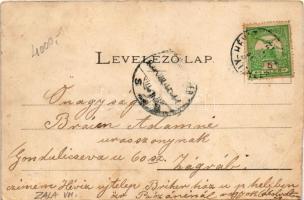 1908 Hévíz, fürdőház, csónakázók. Márton Mór kiadása (EB)