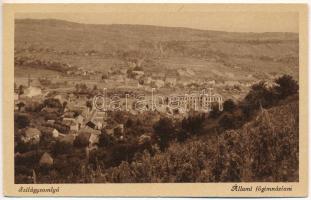 Szilágysomlyó, Simleu Silvaniei; Állami főgimnázium / grammar school