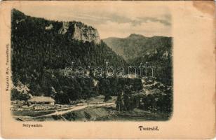 Tusnádfürdő, Baile Tusnad; Sólyomkő. Nagylaki Mór kiadása / general view, mountains (r)