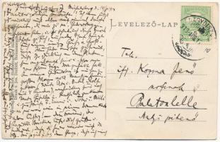 1913 Erdélyi hegyi pásztorház birkanyájjal / Stana / Sennhütte / Transylvanian folklore, mountain hu...