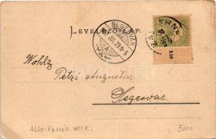 1902 Zalatna, Zlatna; látkép. Folberth Vilmos kiadása / general view (EB)