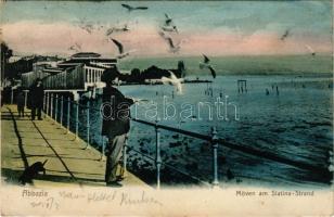 Abbazia, Opatija; Möven am Slatina-Strand / seagull feeding on the shore (Rb)