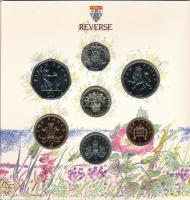 Nagy-Britannia 1989. 1p-1P (7xklf) forgalmi sor karton dísztokban T:BU
Great Britain 1989. 1 Penny ...