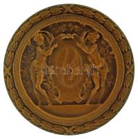 1937. "Budapest Székesfőváros Közlekedési Részvénytársaság Sportegyesülete (a mai BKV Előre SC) a sport terén elért kiváló kiváló érdemek jutalmazására - 1912 / Concordia parvaeres crescunt discordia maximae dilabuntur durateet vosmet rebus servate secundis" bronz érdemérem, eredeti "BSzKRT. S.E. 1937." feliratú dísztokban (42mm) T:AU patina