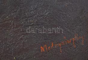 Mednyánszky jelzéssel: Táj, olaj, vászon. Dekoratív, kissé sérült fakeretben, 65×80 cm