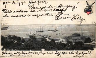 1900 New York City, New York Bay. Arthur Strauss No. 88. (cut)