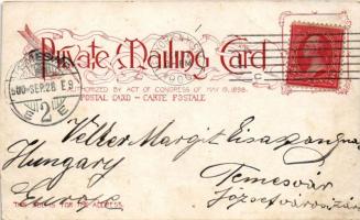 1900 New York City, New York Bay. Arthur Strauss No. 88. (cut)